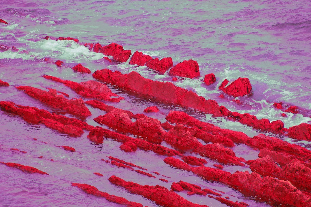 Dents de la mer II
